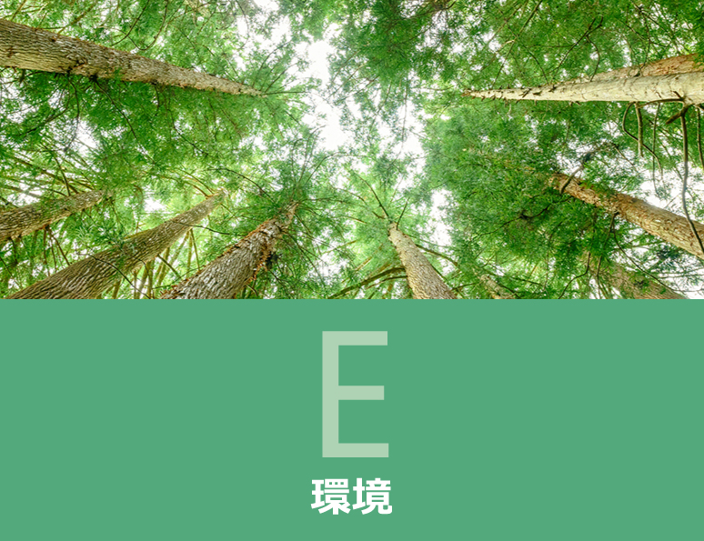 環境