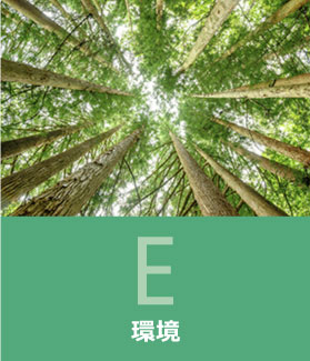 環境
